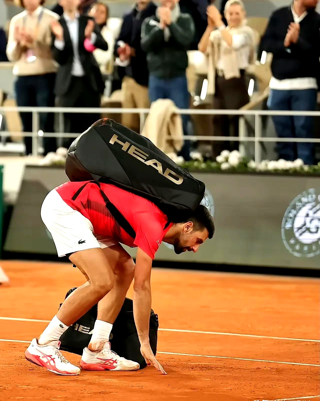 意大利网球队血洗世界网球队,德约科维奇高光表现的简单介绍 意大利网球队血洗世界网球队,德约科维奇高光表现的简单介绍