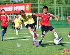 开云体育平台APP-关于乱云飞渡!国内足球场上的未知变数的信息