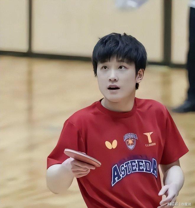 波兰队险胜中国队，张本智和带队取胜的简单介绍