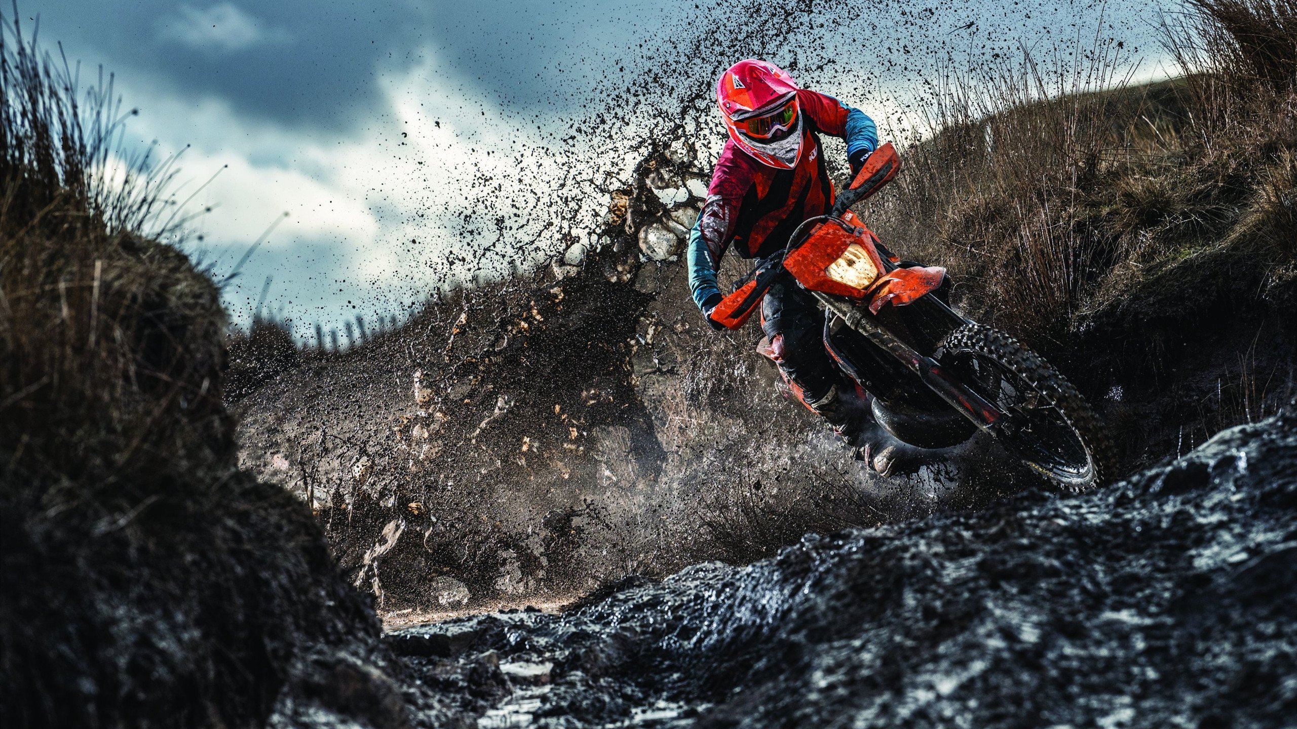 广厦狂胜勇士背后，霍勒迪的冠军级表演如何重塑比赛格局